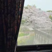 もっりーの画像