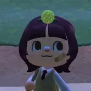 おまめの画像