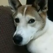 ケンタくん