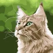 ナナメネコの画像