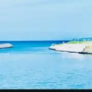 ままの画像