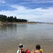 おこいの画像