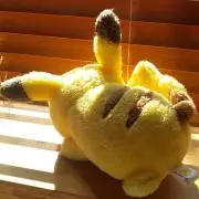 かふぇぴかの画像