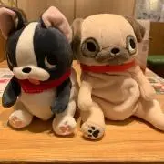 カガトマの画像