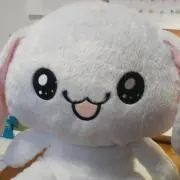 はるの画像