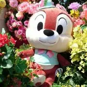 にゃんこฅ^•ﻌ•^ฅ♡の画像