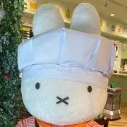 akの画像