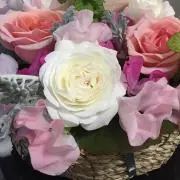 ひまわりの画像