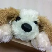 ににょの画像