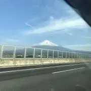 チャッピーの画像