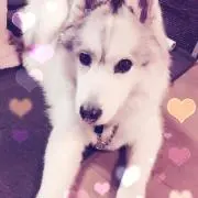 ねねママ