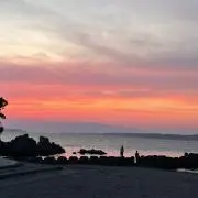 チャミ