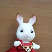ami15の画像
