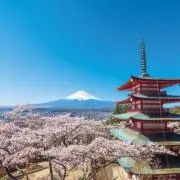 竹中の画像