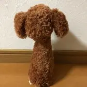 ddd-☆の画像