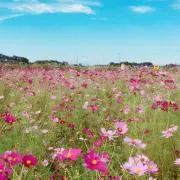 プロフィール必読！セット購入値引き歓迎の画像