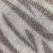 リーコちゃん☆の画像