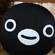 dskkmrの画像