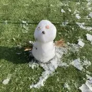 あおの画像