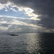 おつまみ