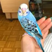 そら