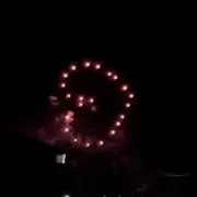 こけ
