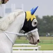 王子の画像