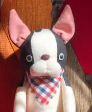Emmaの画像