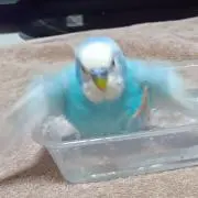 KENの画像