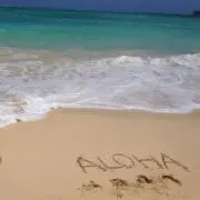 cocoの画像