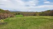 RYOの画像