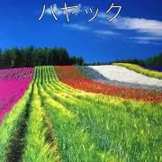 ハヤック