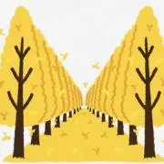 ***kenchan***の画像