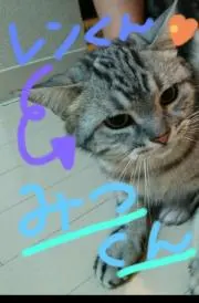 みつくん