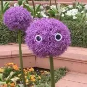 kouの画像