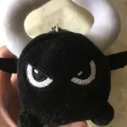 セツの画像