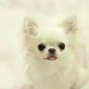 サングラスSALE中〜の画像