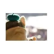 むぎの画像