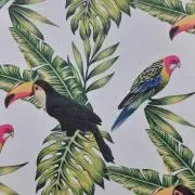 プルメリアの画像