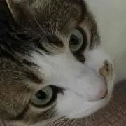 S.Eの画像