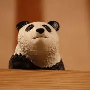 Motoki