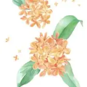 ハーレイの画像