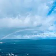 ちゃいろちゃいろ_発送は平日のみの画像