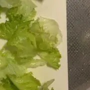 ごま