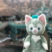 ゆゆの画像