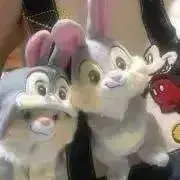 thumper360の画像