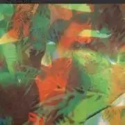 tenNiiの画像