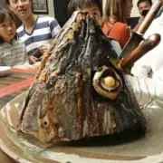 ぺの画像