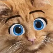ねこ:0の画像