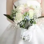 いろどりの画像